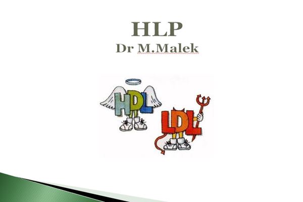 پاورپوینت  HLP