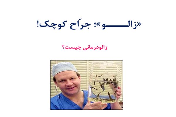 پاورپوینت زالو درمانی