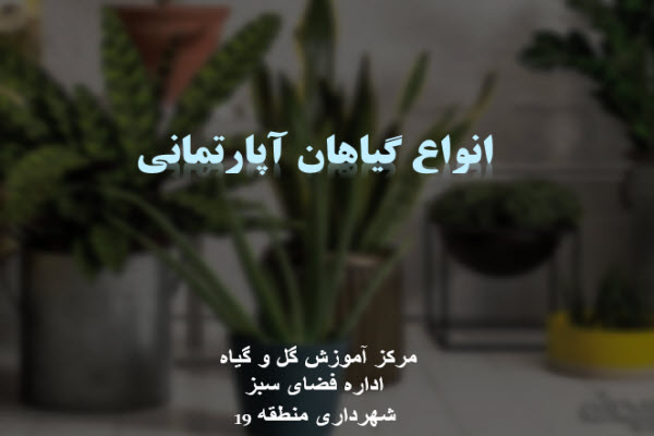 پاورپوینت انواع گیاهان آپارتمانی