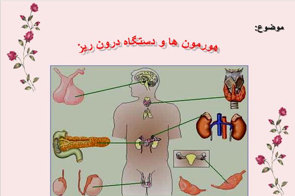 پاورپوینت هورمون ها و دستگاه درون ریز