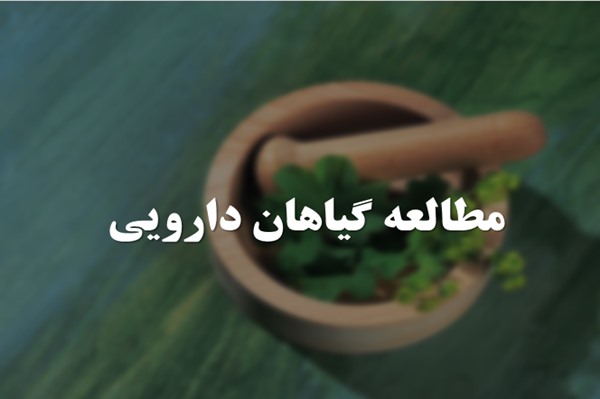 پاورپوینت مطالعه گیاهان دارویی