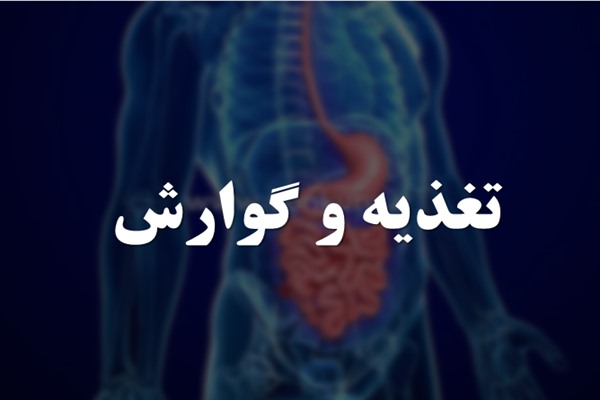 پاورپوینت تغذیه و گوارش