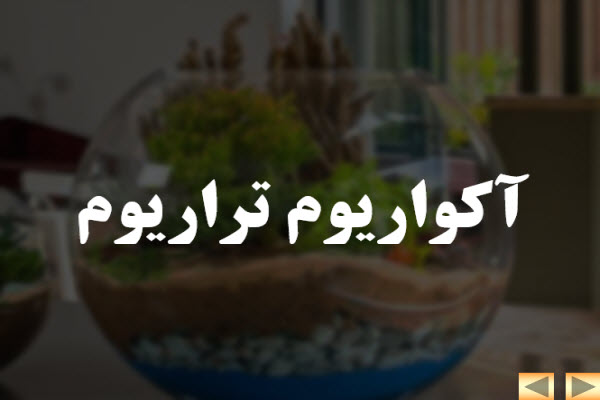 پاورپوینت تراریوم