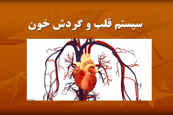 پاورپوینت سیستم قلب و گردش خون