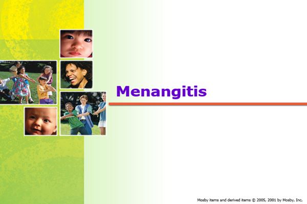 پاورپوینت Menangitis