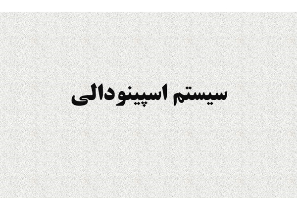 پاورپوینت سيستم اسپينودالی