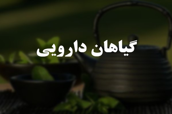 پاورپوینت گیاهان دارویی