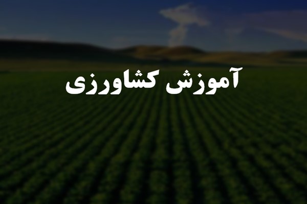 پاورپوینت آموزش کشاورزی