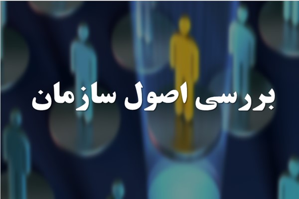 پاورپوینت بررسی اصول سازمان