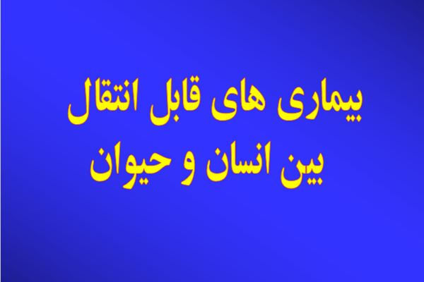 پاورپوینت بيماري هاي قابل انتقال    بين انسان و حيوان