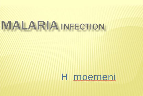 پاورپوینت بیماری مالاریا