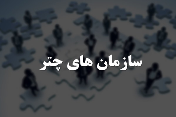 پاورپوینت سازمان های چتر