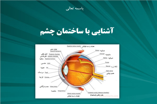 پاورپوینت آشنایی با ساختمان چشم