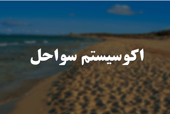 پاورپوینت اکوسیستم سواحل