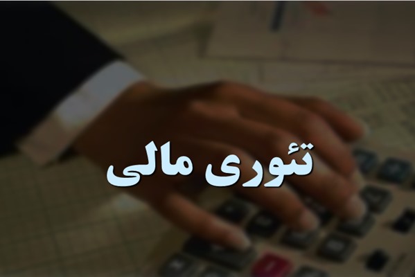 پاورپوینت تئوری مالی