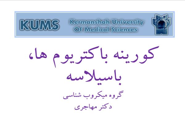 پاورپوینت كورينه باكتريوم ها، باسيلاسه