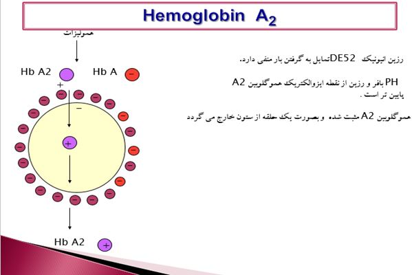 پاورپوینت Hemoglobin  A2