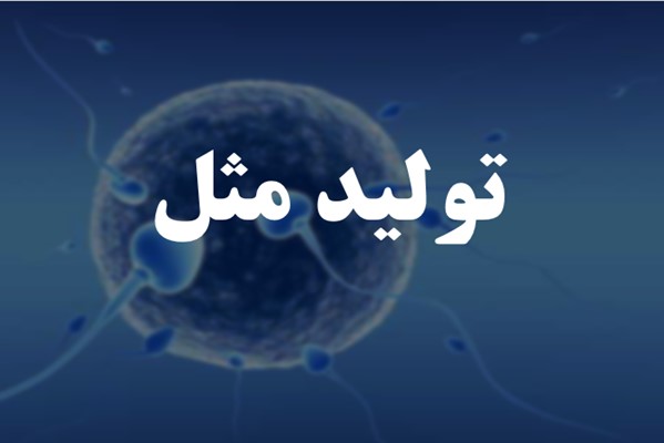 پاورپوینت تولید مثل