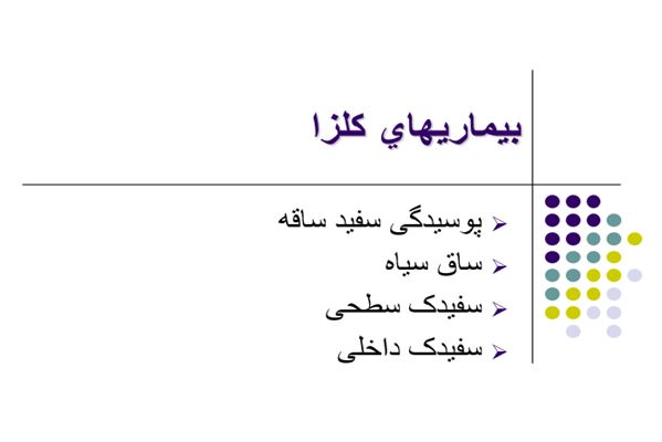 پاورپوینت بيماريهاي كلزا